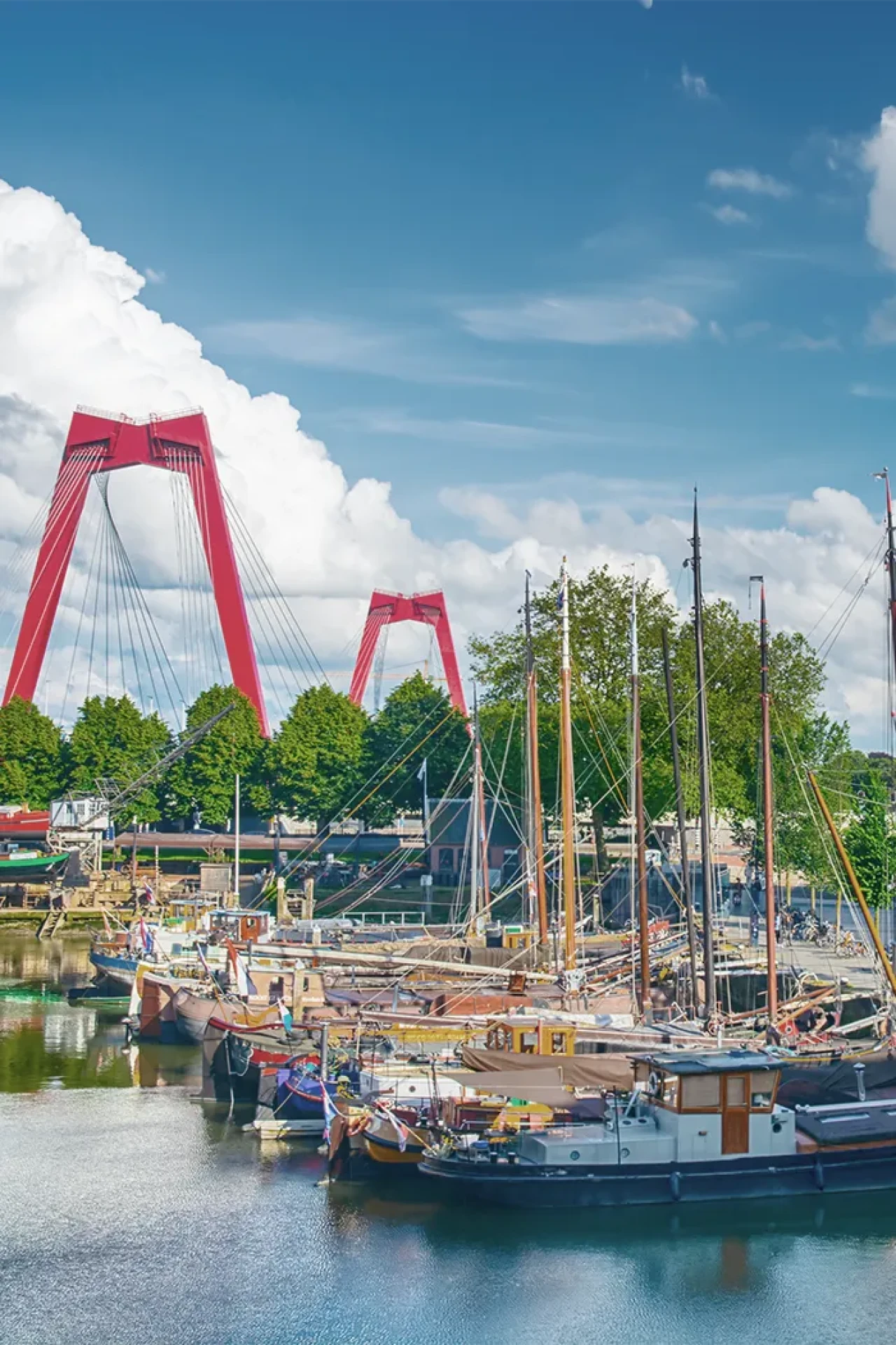 ar-about-us-header-oude-haven.webp